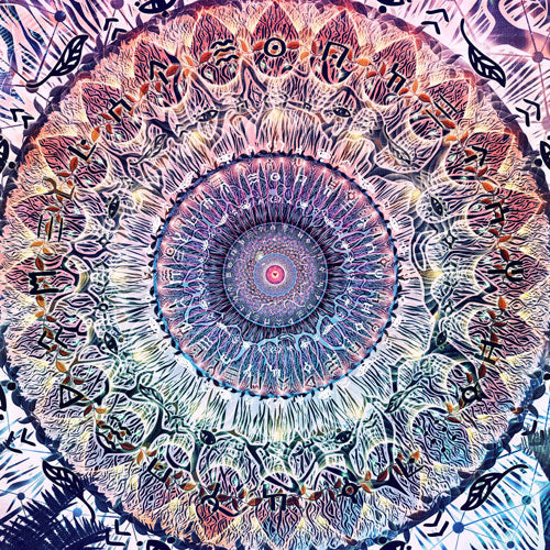 Cameron Gray Collection