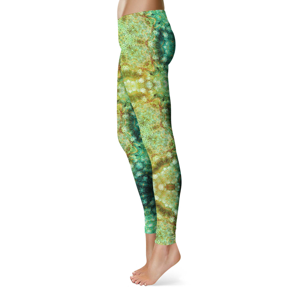 FIR VORTEX LEGGINGS