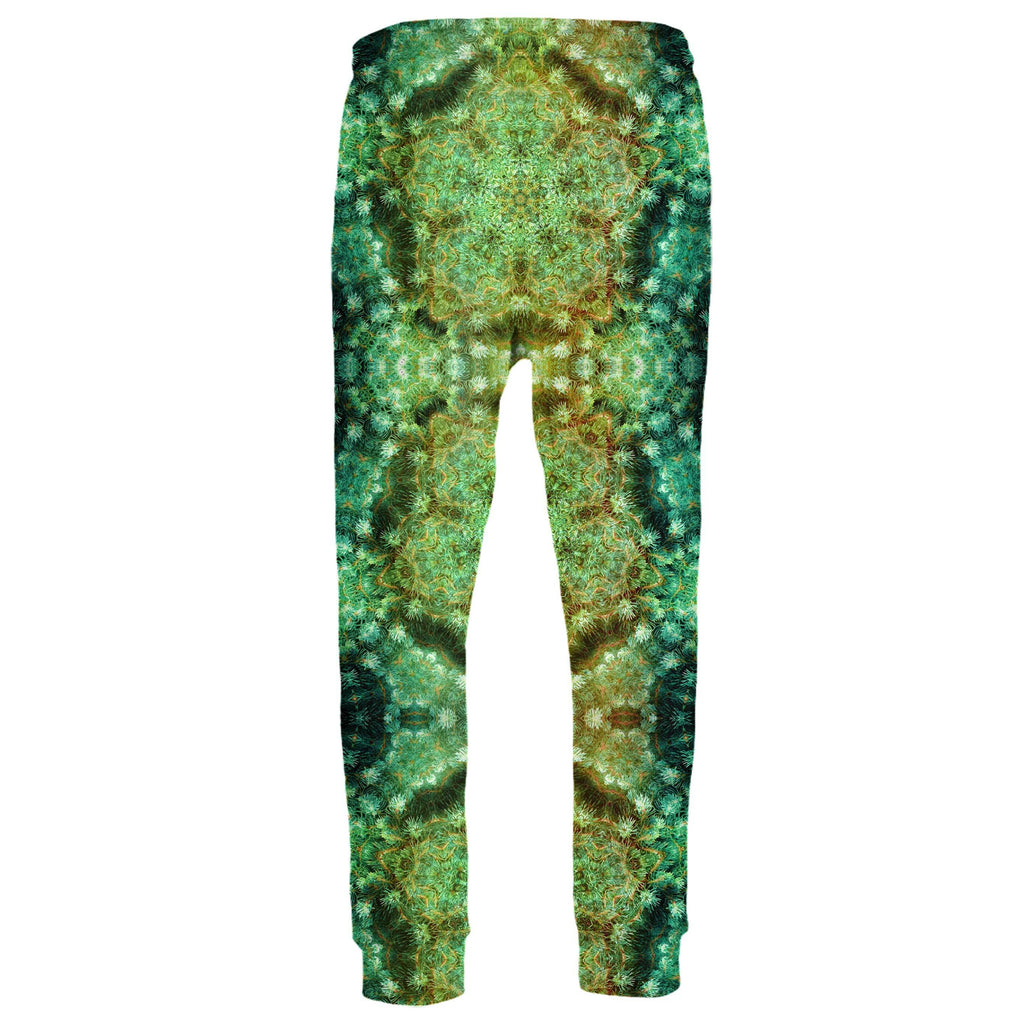 FIR VORTEX JOGGERS