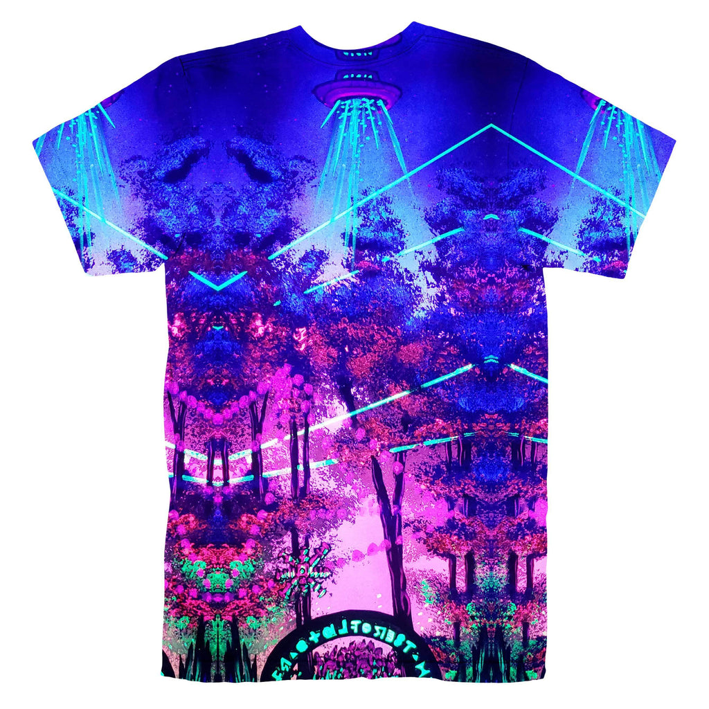 FRACTAL ABDUCTION T