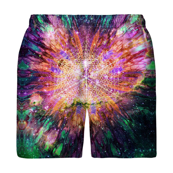 CALIFORNIA SUNSHINE PORTAL SWIM TRUNKS