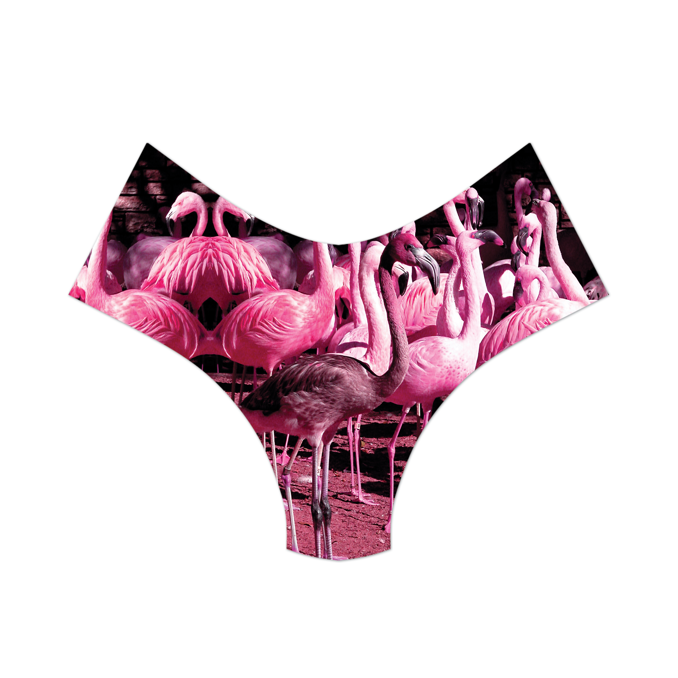 Flamingo 2025 booty shorts