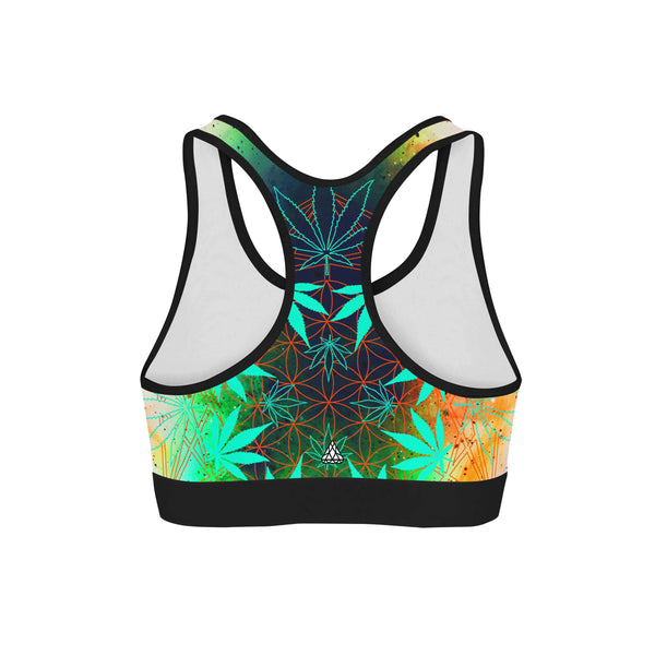 S.W.E.D. SPORTS BRA