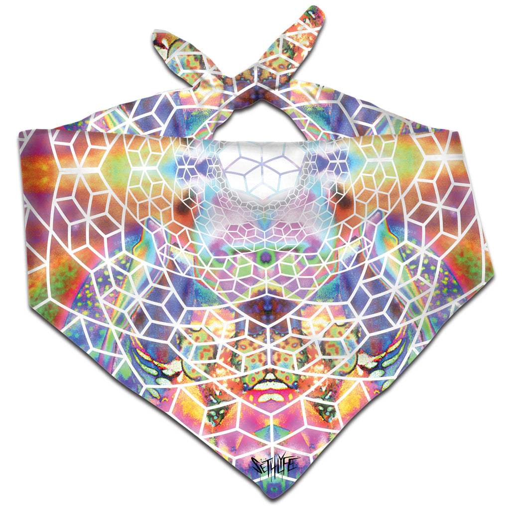 VISIONARY BANDANA