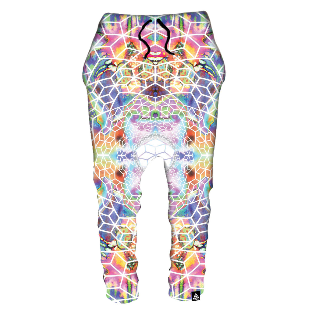VISIONARY DROP PANTS