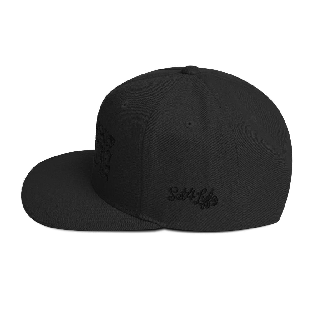 DRAGONS ONLY DARK SNAPBACK HAT