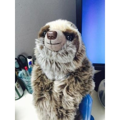 PLUSH STUFFED SLOTH